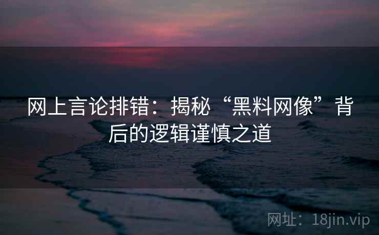 网上言论排错：揭秘“黑料网像”背后的逻辑谨慎之道