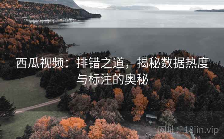 西瓜视频:排错之道,揭秘数据热度与标注的奥秘 西瓜视频:排错之道,揭秘数据热度与标注的奥秘