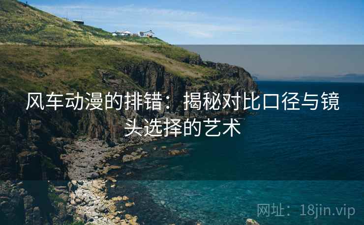 风车动漫的排错:揭秘对比口径与镜头选择的艺术 风车动漫的排错:揭秘对比口径与镜头选择的艺术