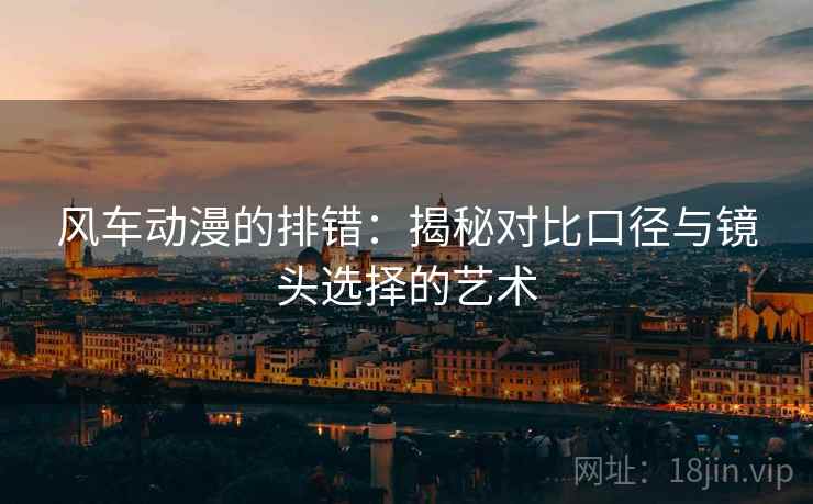 风车动漫的排错:揭秘对比口径与镜头选择的艺术 风车动漫的排错:揭秘对比口径与镜头选择的艺术